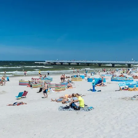 Navigator-blizej Morza 94 *